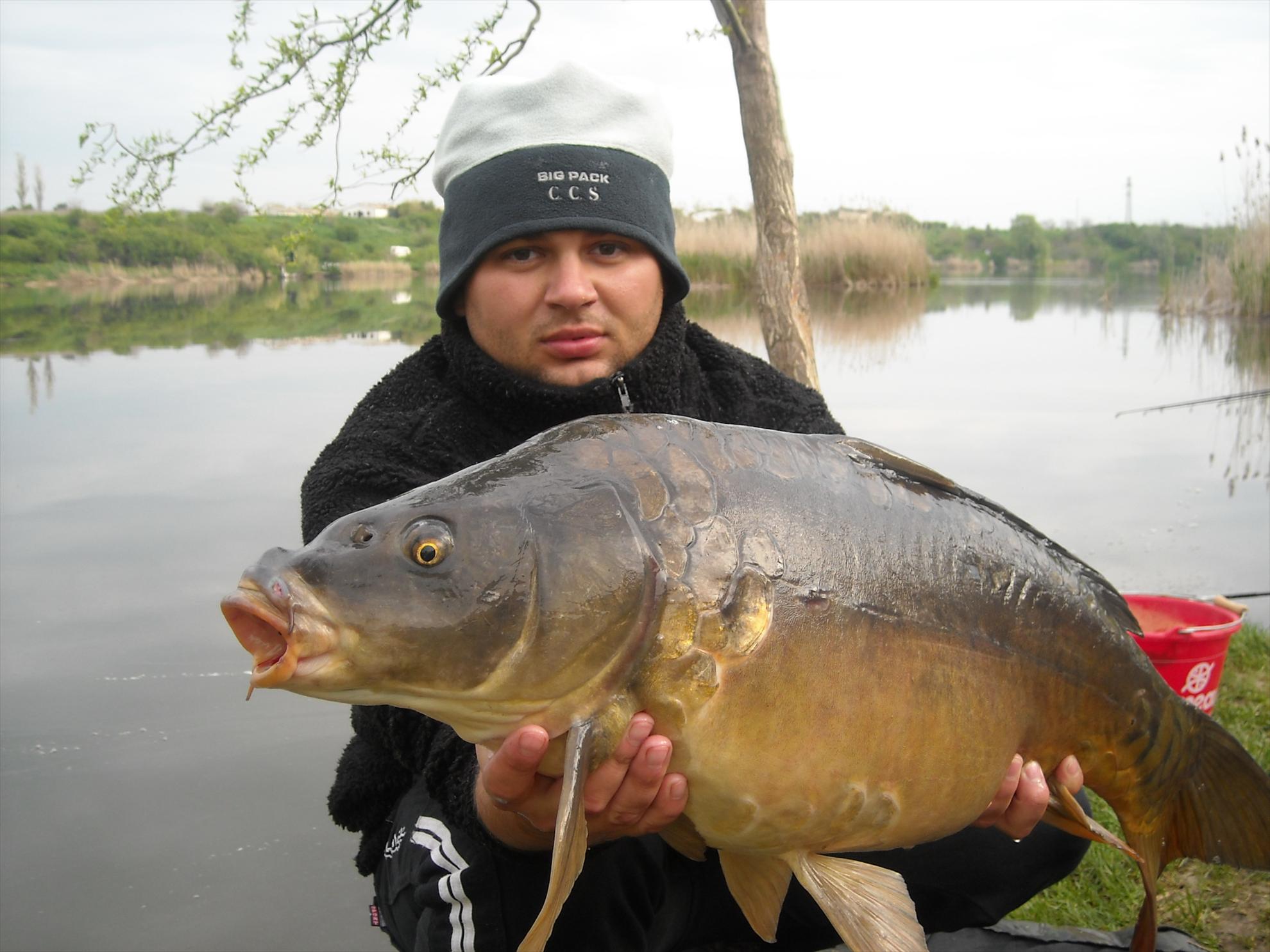 Crapmania - 2010 - crapmania-2010-222.jpg